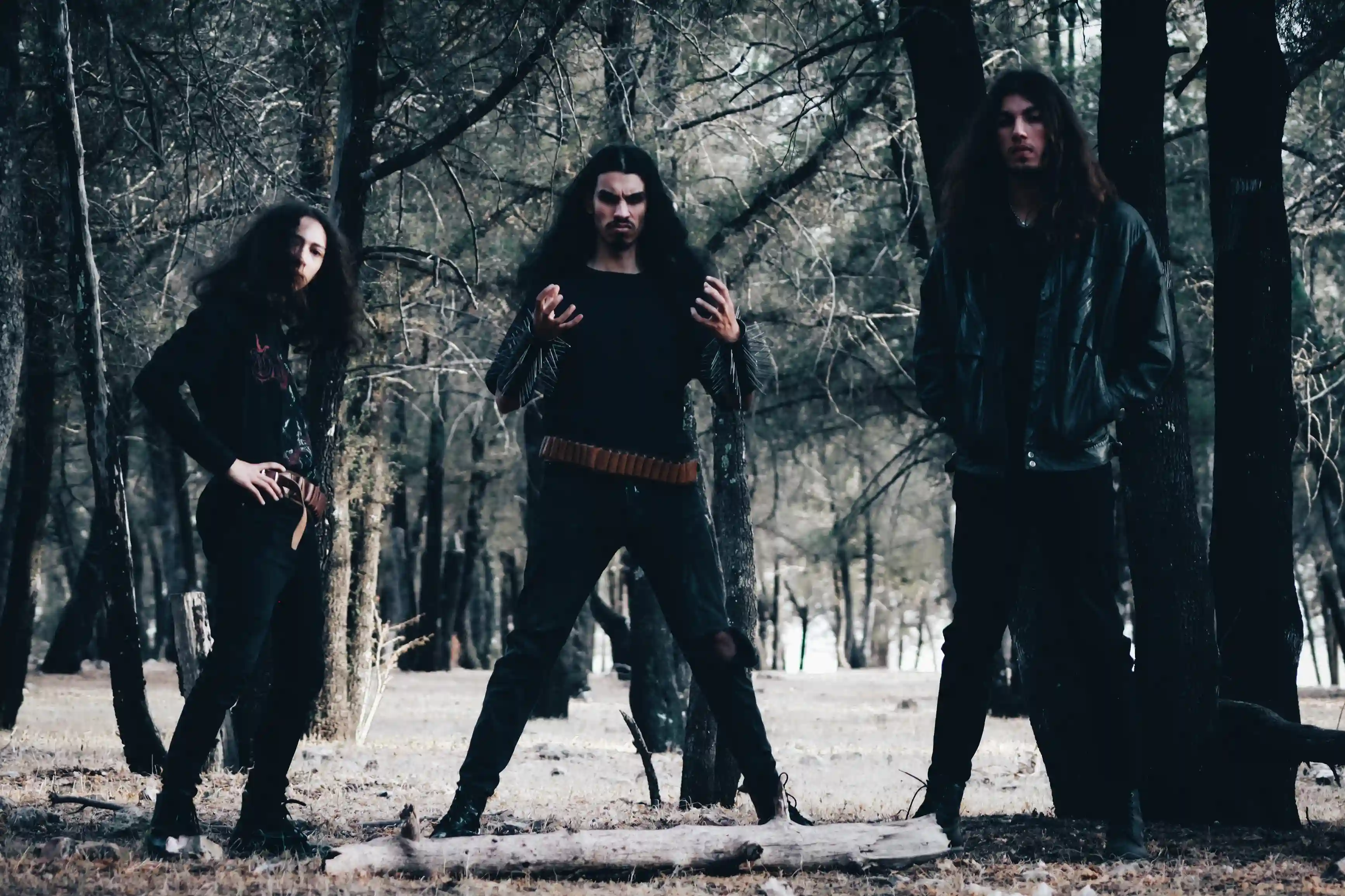 Promotional Picture