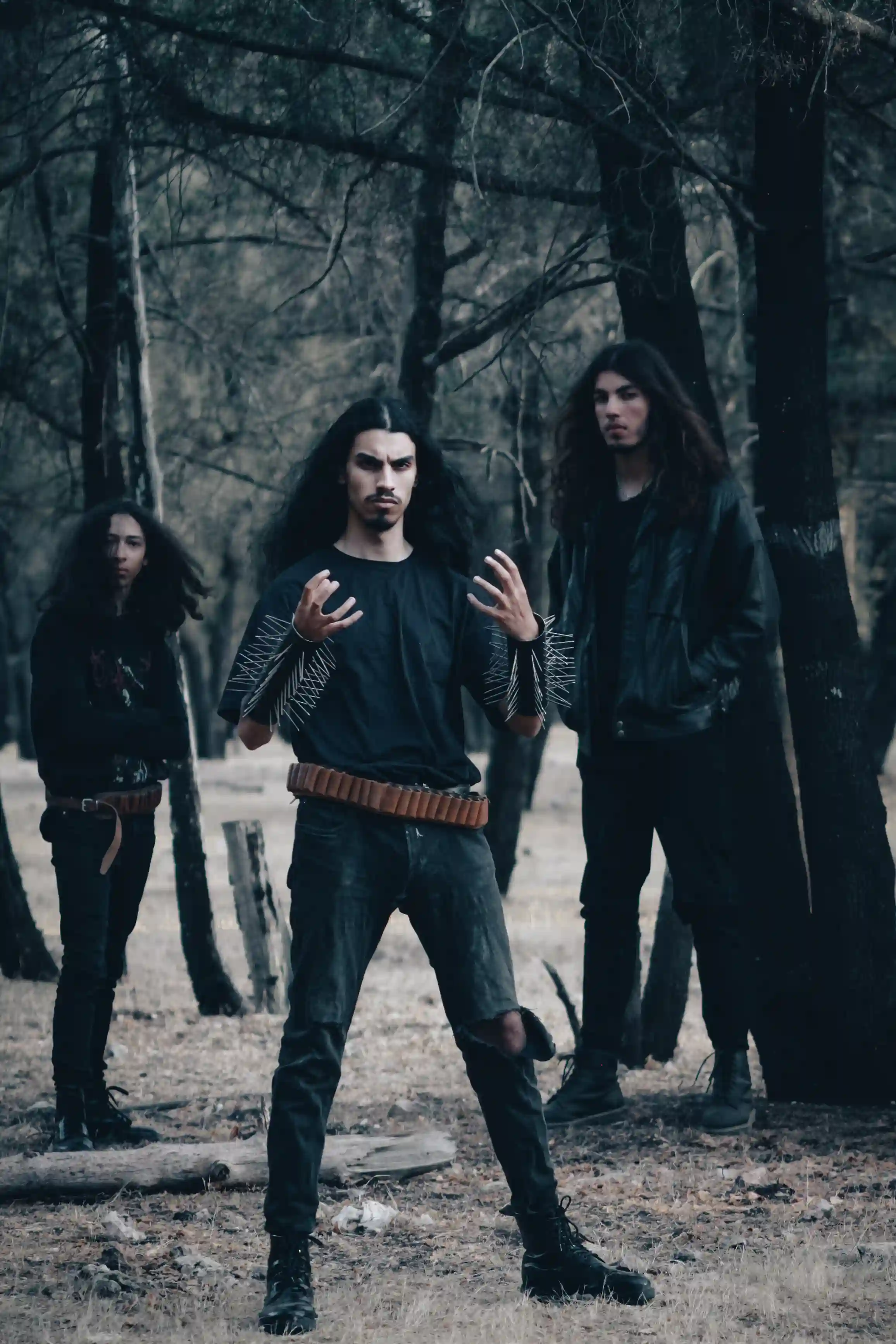 Promotional Picture