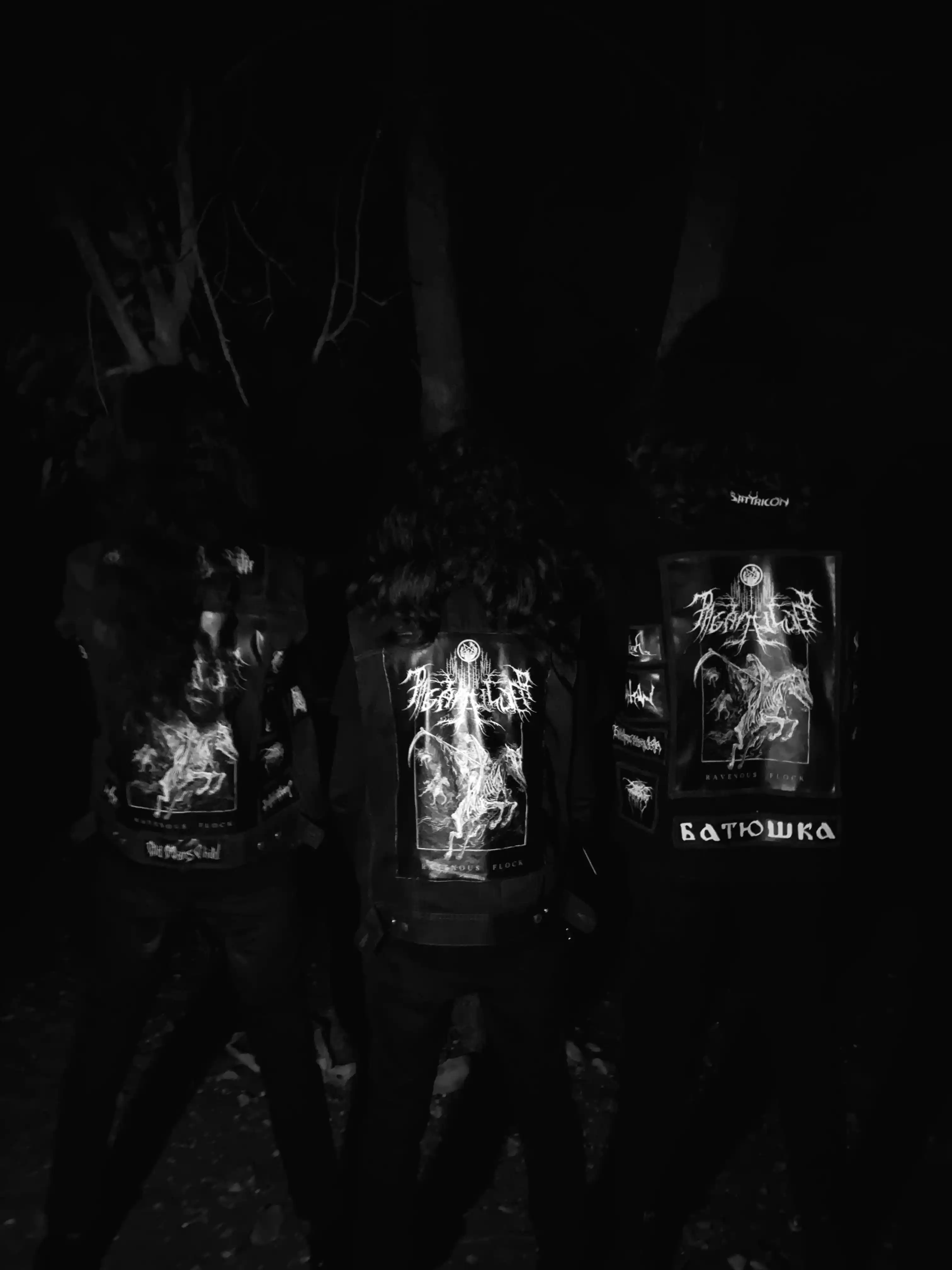 Promotional Picture
